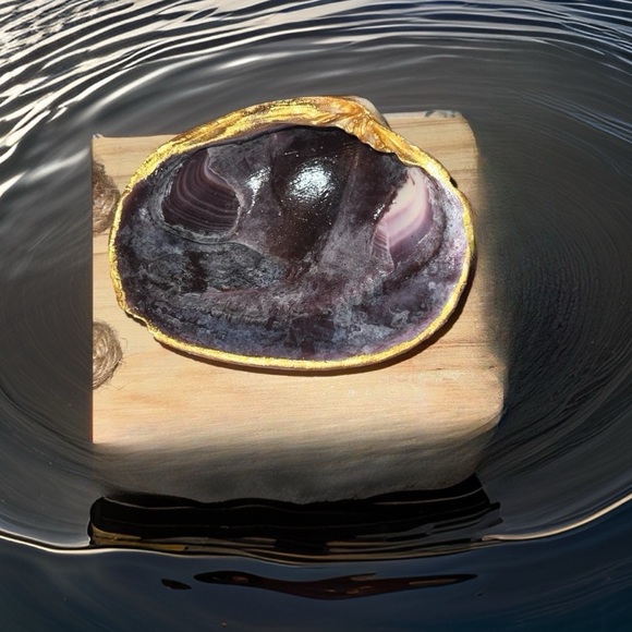 Beautiful Clam Shell Trimmed In Gold - Picture 1 of 2